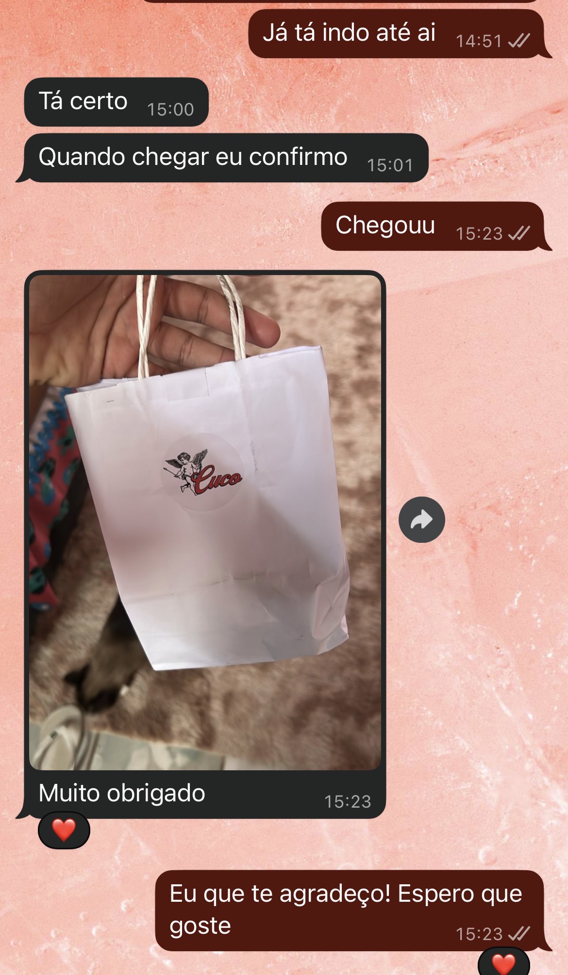 Print de conversa de cliente sobre sua compra
